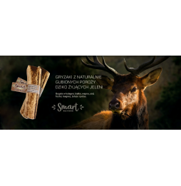 Smart Nature Deer Antler Teether XL (hard)
