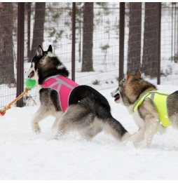 Kivalo Dog Reflective vest for dogs XS pink 29-47 cm
