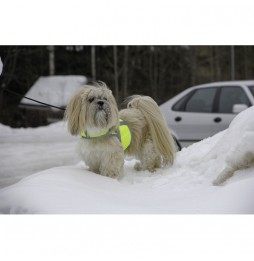 Kivalo Dog Reflective vest for dogs XS yellow 29-47 cm
