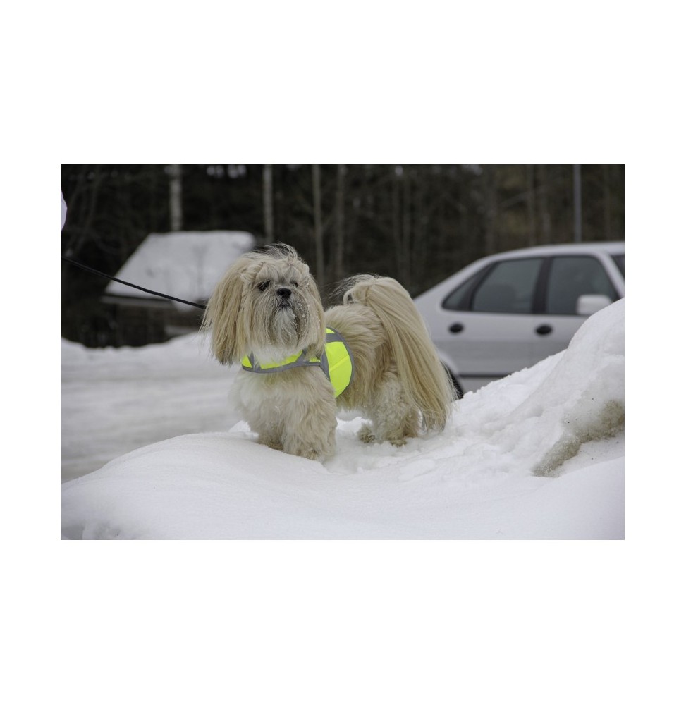 Kivalo Dog Reflektierende Weste für Hunde XS gelb 29-47 cm