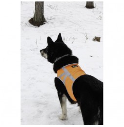 Kivalo Dog Reflexní vesta pro psy M oranžová 41-60 cm