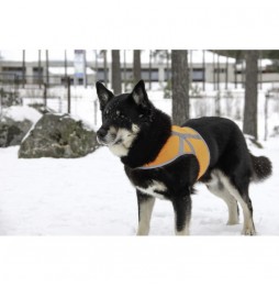 Kivalo Dog Reflektierende Weste für Hunde XL orange 53-75 cm