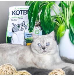 Żwirek dla kota KotBury 4 l (2,5kg) eukaliptusowy