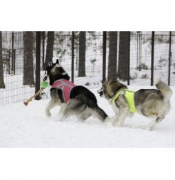 Kivalo Kaamos reflective vest for dogs S pink 35-56 cm