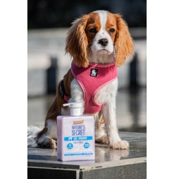 Prince Nature's Secret Shampoo for puppies with Chamomile and Honey 500ml
