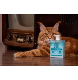 Princess Nature's Secret Shampoo für Katzen für alle Fellarten mit Aprikosenöl 500 ml