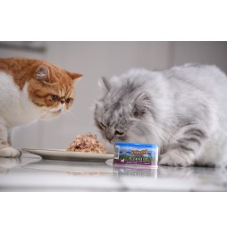 Princess Premium Chicken Tuna Oysters 170g wet cat food