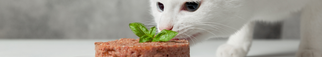 Мокра храна за котки с висококачествено месо